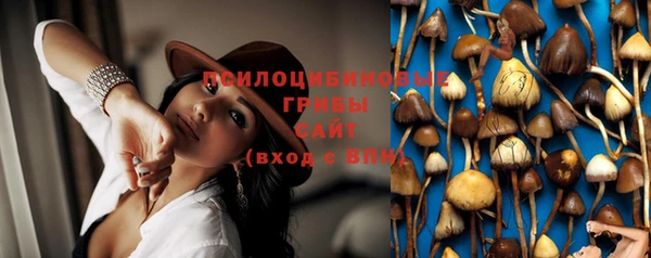 соль ск Алзамай