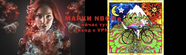 прущие грибы Алексин