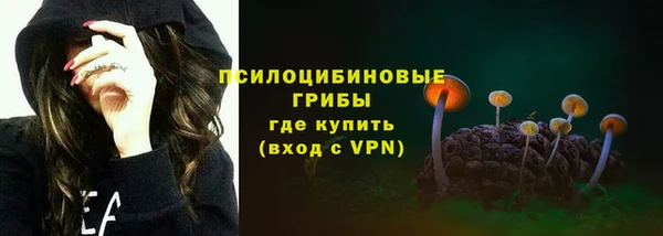 мяу мяу мука Алексеевка