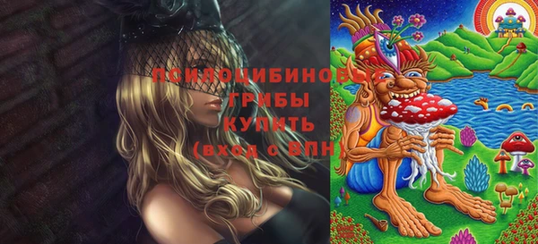 мяу мяу мука Алексеевка