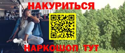 шишки Гусь-Хрустальный