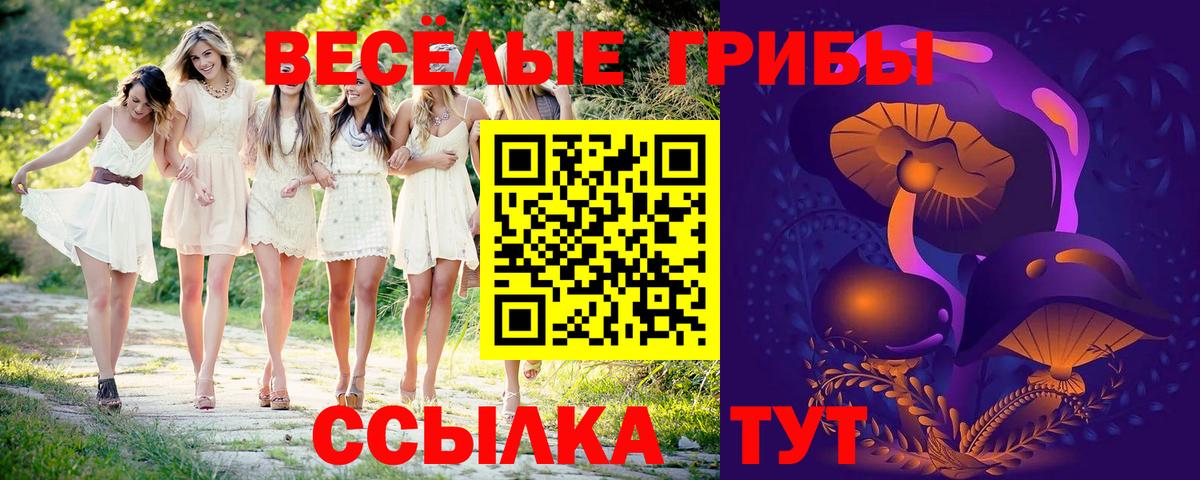 Галлюциногенные грибы GOLDEN TEACHER Канаш